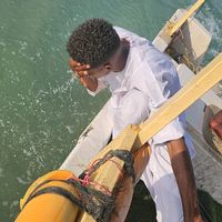 user781366674