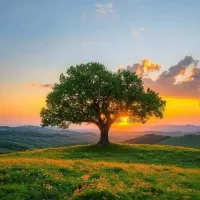 original sound - fale_de_vida