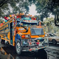 transnayelyoficial1