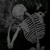 gaixbsn_