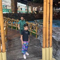 الصوت الأصلي