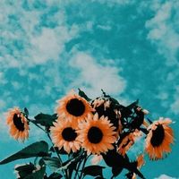 a.e.s.t.h.e.t.i.c.de