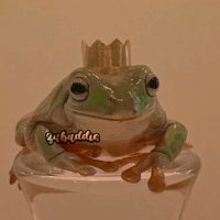 zabaddis