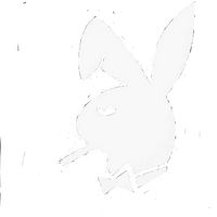 El pinche brujo cruising