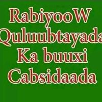 inashiiqcali1