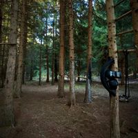 sandzak_workout