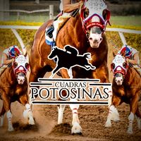cuadras_potosinas