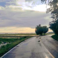 original sound - pond99_love