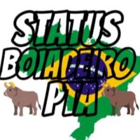 statusboiadeiro09