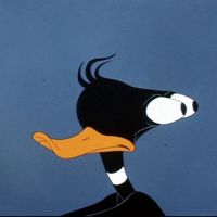 duck.awp