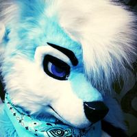 jemstarhusky