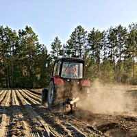 оригінальний звук