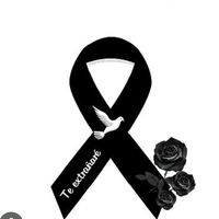 user813240395240733