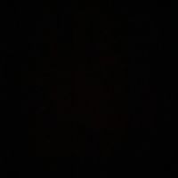 jordi_627