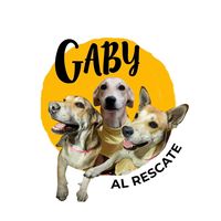 gabyalrescate