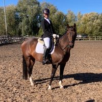 horseriding.dh