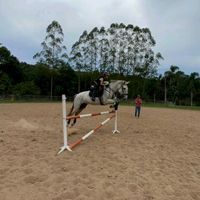 riding_wmari