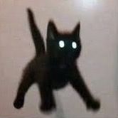 unvatoequismasdelmonton