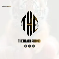 original sound - theblackpromo
