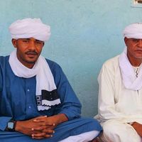 الصوت الأصلي