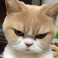 เสียงต้นฉบับ - RQMUY.7