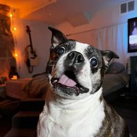 allaboutblueberrysfamily