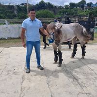 omarjara304