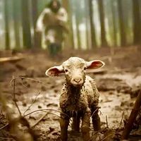 endings.r.beginnings