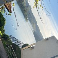 jonas_859
