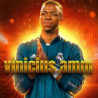 vinicius.amm