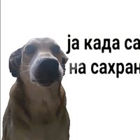 estela.gamer.bast