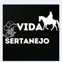 vidasertanejobras