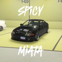 spicymiata