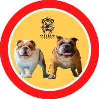 bulldoguitos