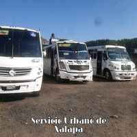 serviciourbanodexalapa01