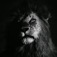 original sound - kings_dark