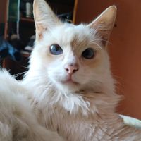 cristinamatiasmatias