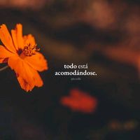 resilencia_believe