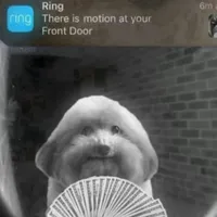 original sound - simply.trippy