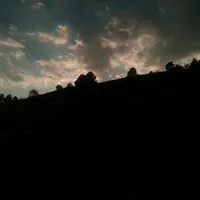 Descansando FuerzaRegida