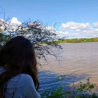silva_liz.0