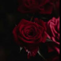 deny_493