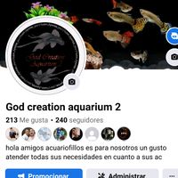 godcreationaquarium2