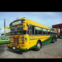 el.patrn9261
