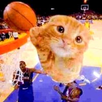 canal.do.laranja903