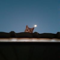 original sound - Nhạc Trung Pinyin