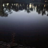 cam6223