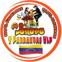 joropo_y_parrandasvlp