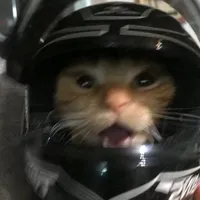 original sound - imsp200