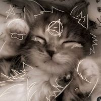 original sound - JuniJustExists